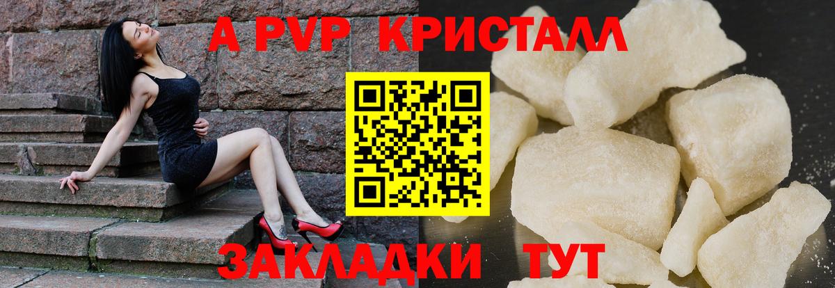 A PVP СК КРИС Будённовск