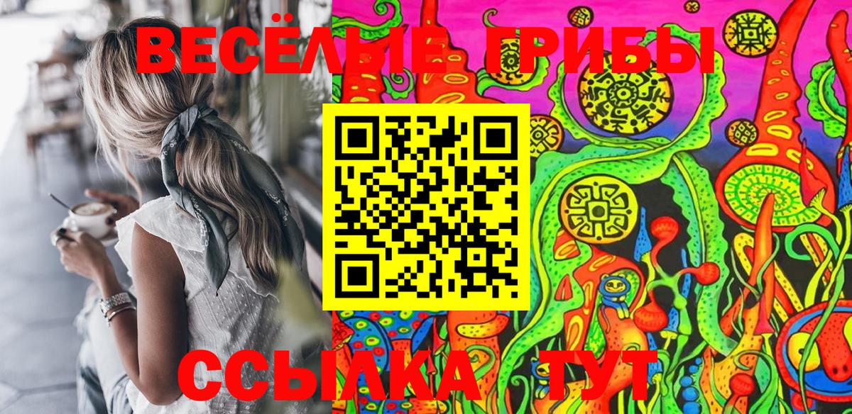 Псилоцибиновые грибы Cubensis  Вход с VPN  Будённовск 