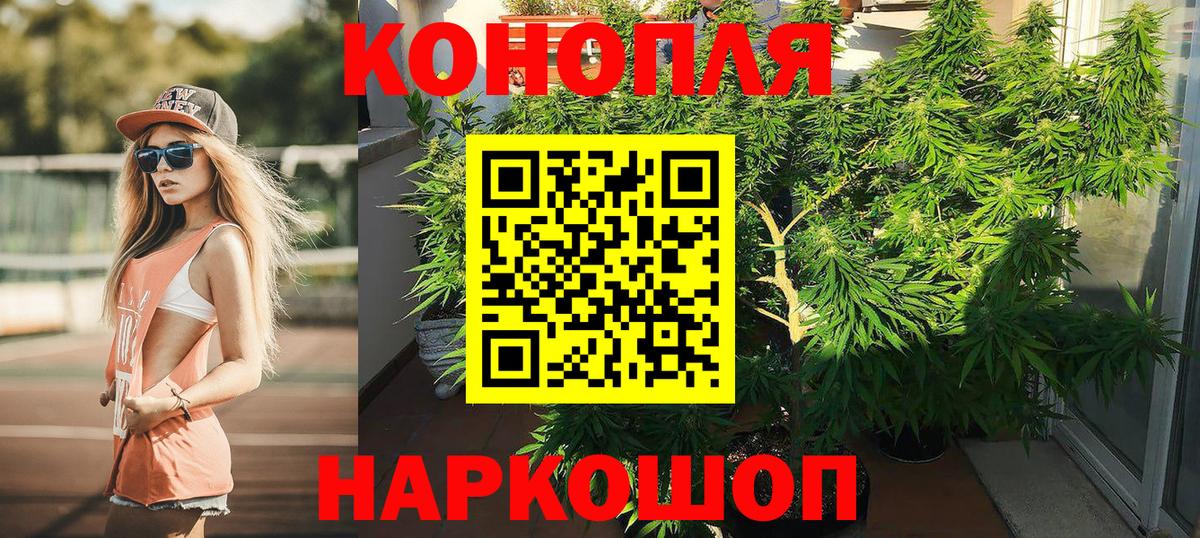 Бошки марихуана конопля  Вход с VPN  Будённовск  Бошки марихуана SATIVA & INDICA  Бошки марихуана тримм  Шишки марихуана индика 