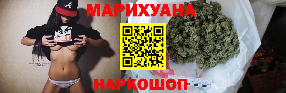 Бошки Шишки план Будённовск